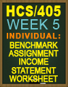 HCS/405 Benchmark Assignment—Income Statement Worksheet and Template